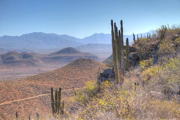 massi_cycling_tours_baja_california_600_01